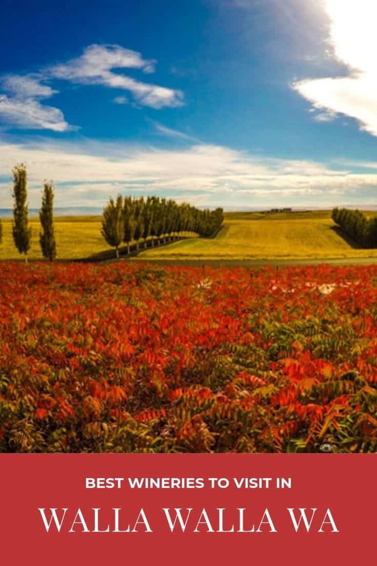 Find the Tastiest Food & Best Wineries in Walla Walla, WA