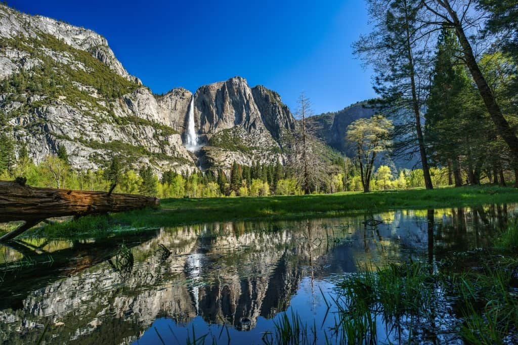 West Coast National Parks: Discover the Natural Beauty of Western USA