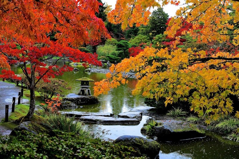 Exploring Fall Colors in Seattle: Parks, Neighborhoods, and Photo ...